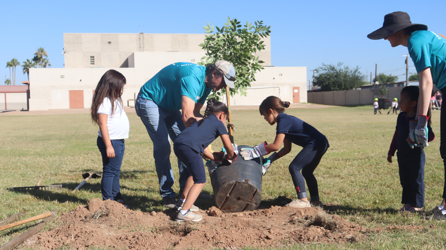Students planting a tree at their school