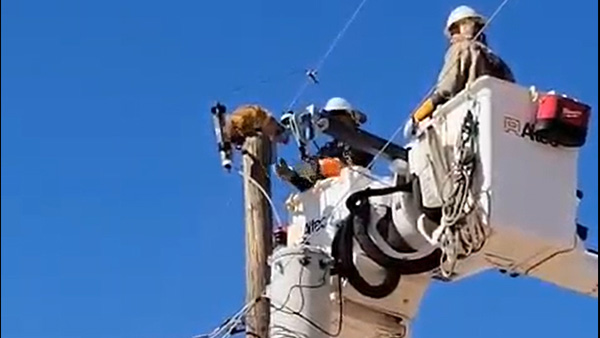 Cat being rescued off a power pole by APS crews in Toltec, Arizona
