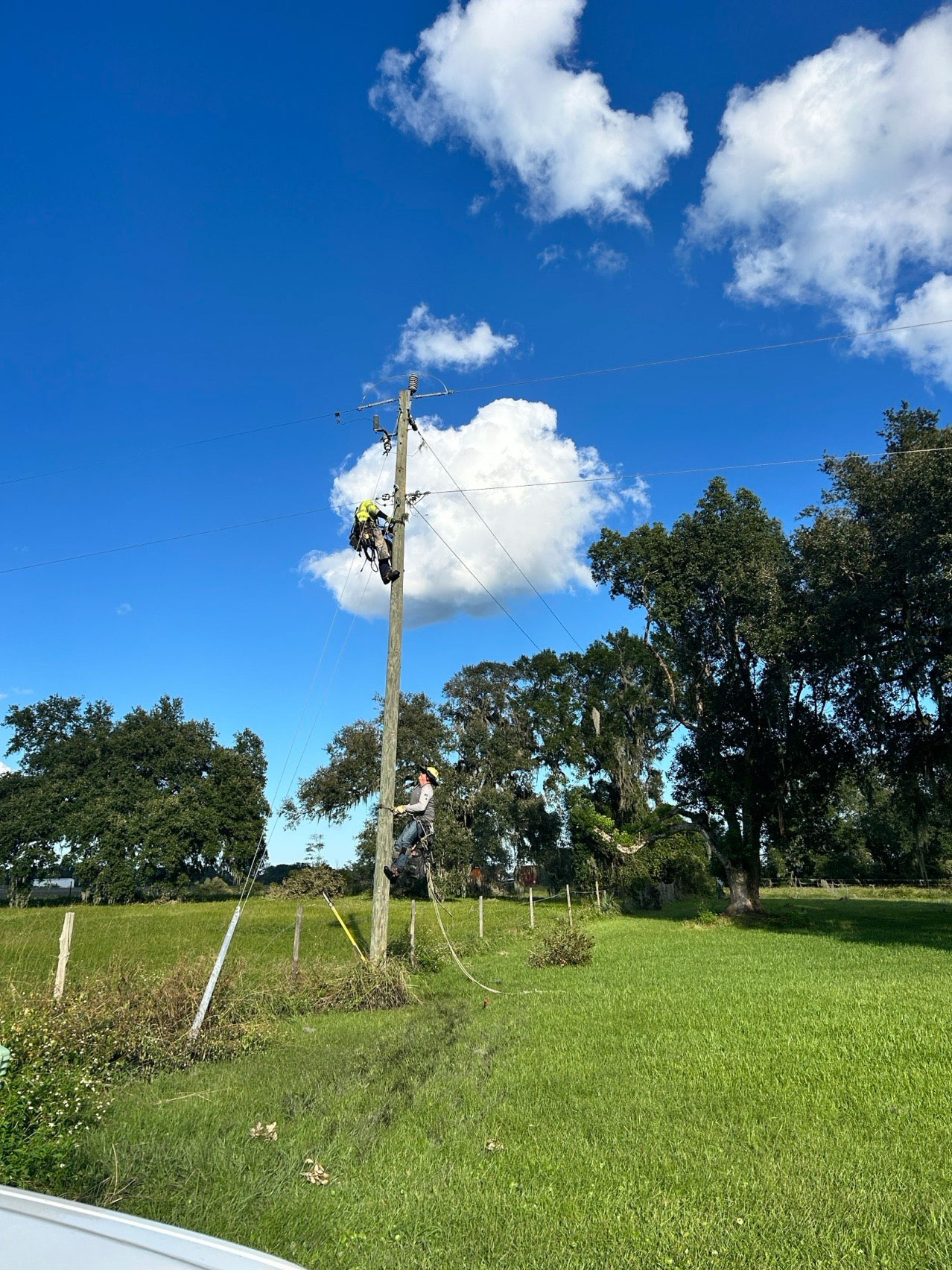 APS workers climbing a power pole