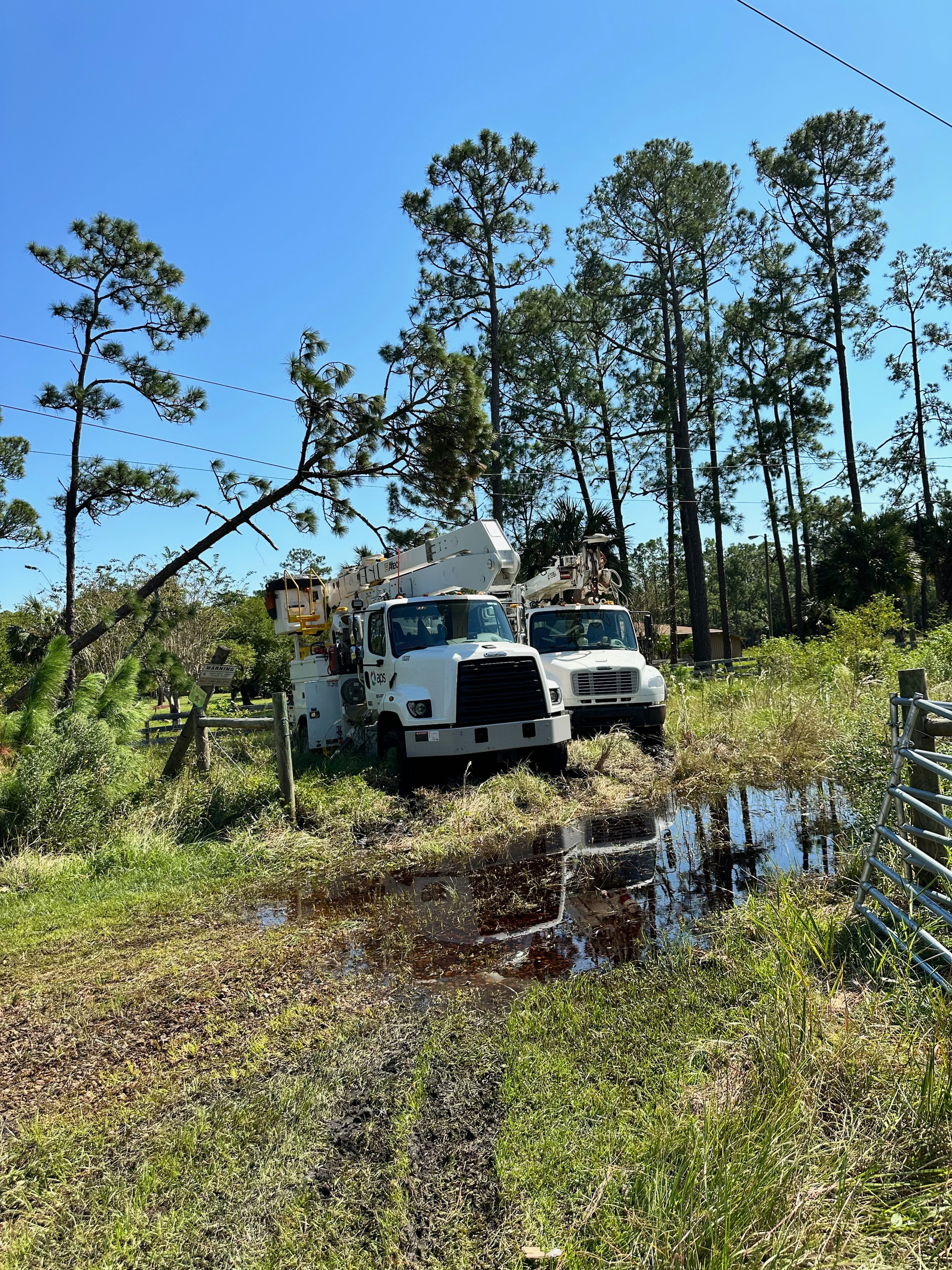 APS Bucket Trucks near a tree on a power line in Palm Coast, Florida