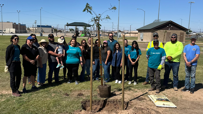 Community Tree volunteers