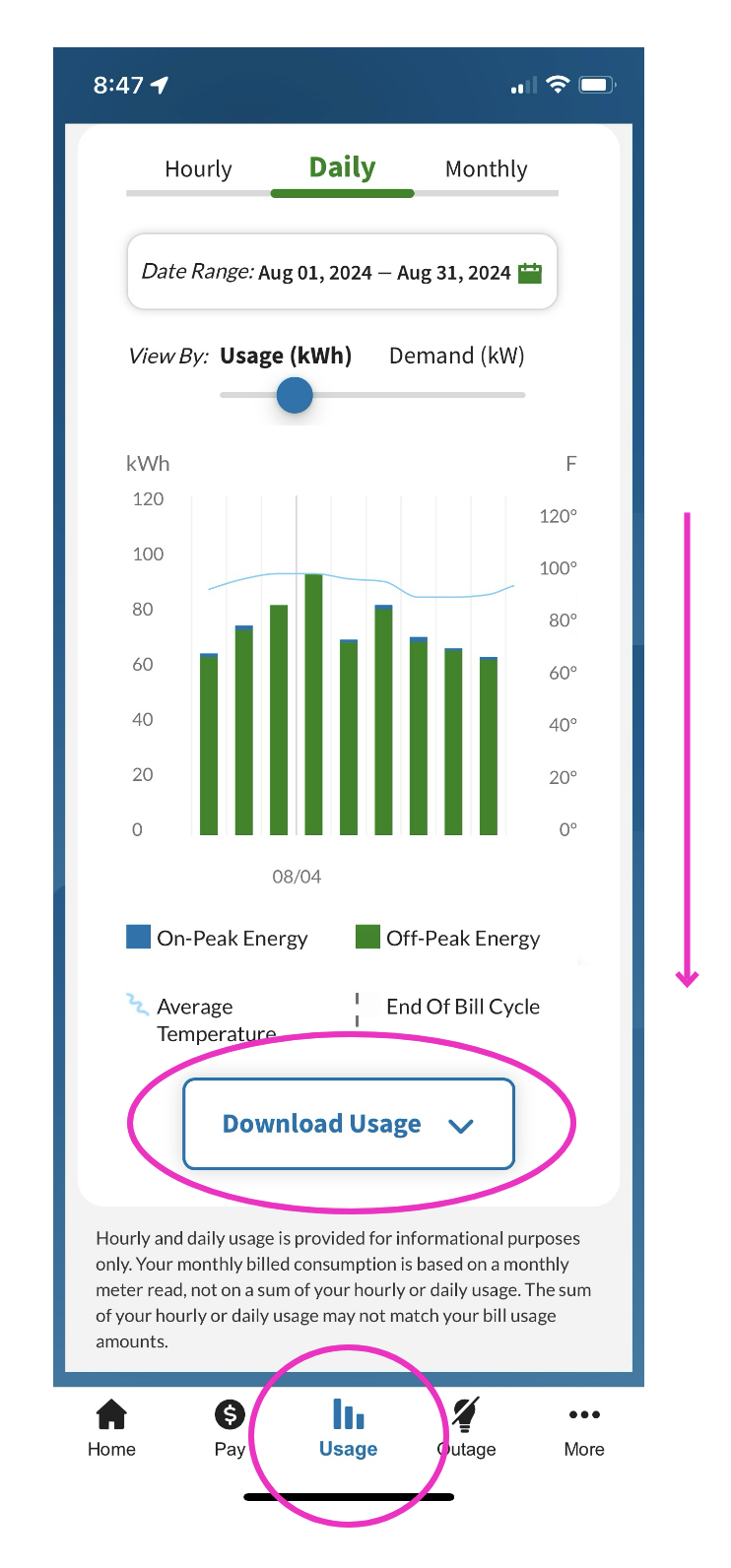 Screen shot of the APS mobile app, showing where to download usage details.