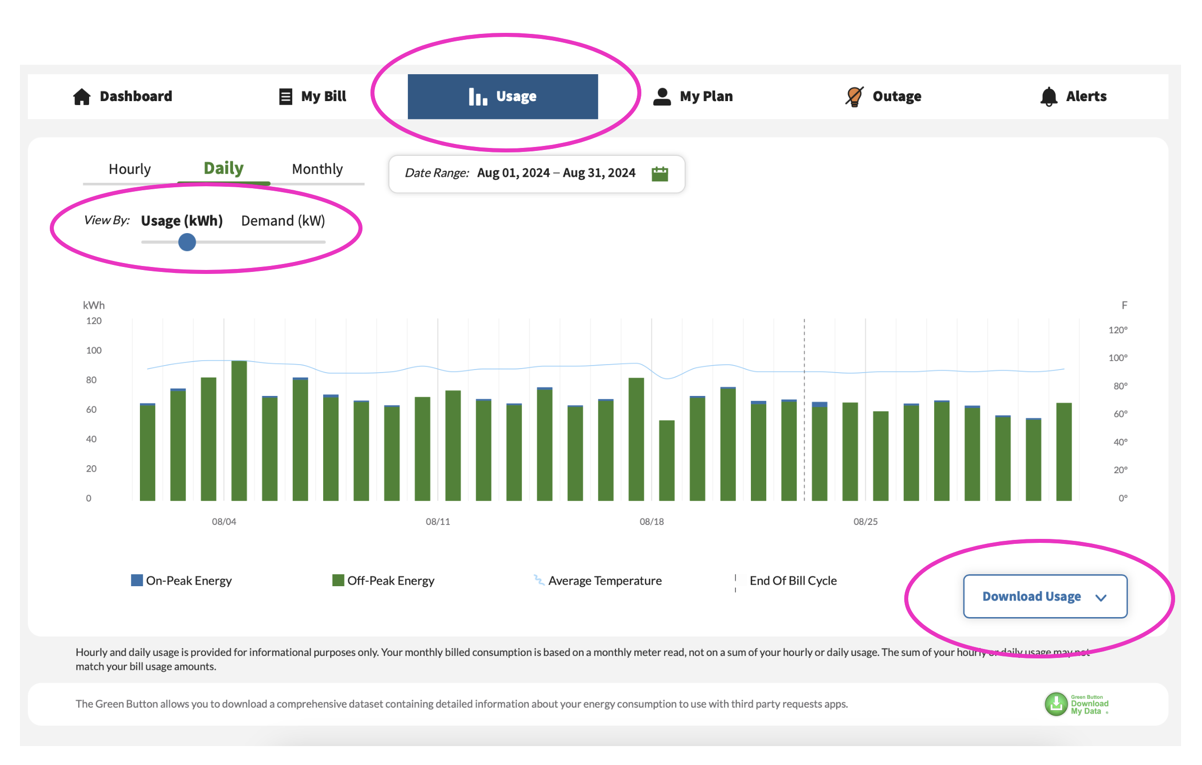 Screen shot of the APS MyAccount dashboard, showing where to download usage details.